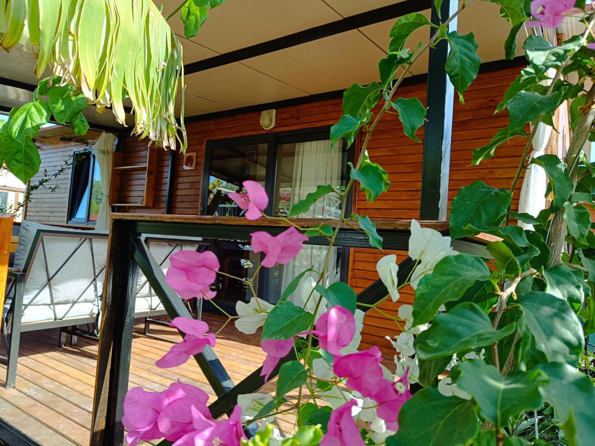 Arlin Bungalows Kemer Quarto foto
