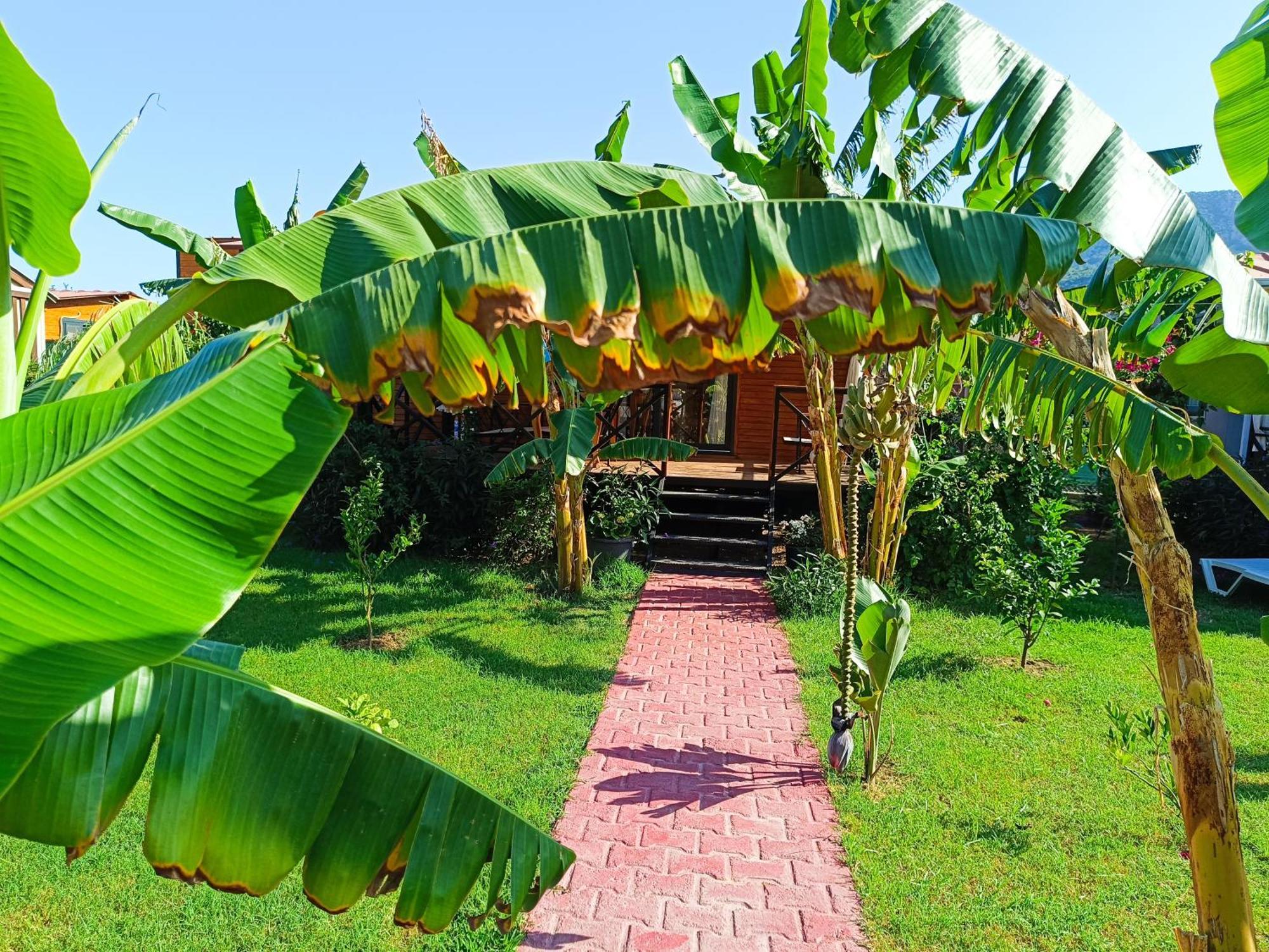 Arlin Bungalows Kemer Exterior foto